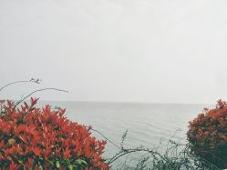 -水八仙生态园