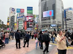 -涩谷全向十字路口