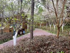-云幽谷旅游区