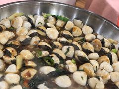 白贝-标记好食