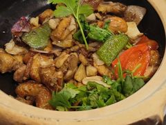 香焗风味鸡煲-新旺茶餐厅(嘉里城店)