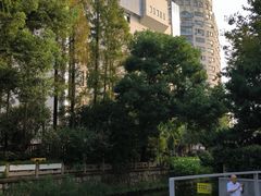 -兰溪青年公园