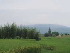 -良渚古城遗址公园