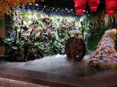 -老滇山寨•云南特色菜•地方菜•民族风情歌舞表演(金碧店)