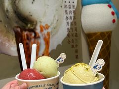 -海比甜店·意式手工冰激淋happy habit gelato