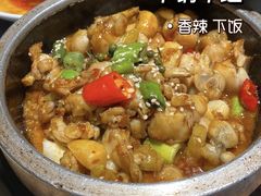 -新白鹿餐厅(城西银泰城店)