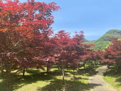 -五泄景区