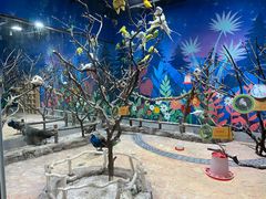 -海合安青岛极地海洋公园