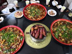 -y牌太安鱼