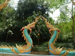 -西双版纳勐泐文化旅游区