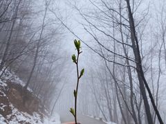 -终南山南五台景区