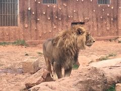 -昆明动物园
