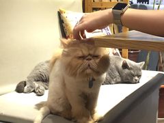 -小时光咖啡馆(开森度假森林店)