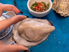 -千岛蚝高压锅生蚝·人参火锅(白云万达店)