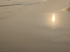 -贝壳沙滩