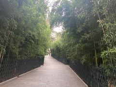 -红螺寺