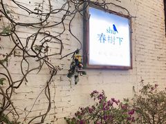 -春树下·树屋花房西餐厅(罍街AS1980店)