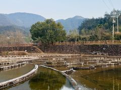 -芦茨金富饭庄·25年老字号·专做稻草鸡