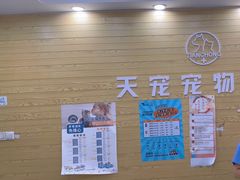 -天宠宠物医院24小时·急重症诊疗中心·全科·腔镜特色(和平分院)