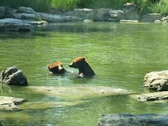 -北京野生动物园