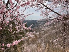 -北京西山国家森林公园