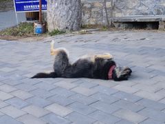 -阳台山自然风景区