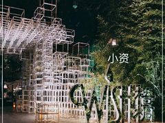 -梧桐