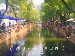 -苏州太湖湖滨国家湿地公园