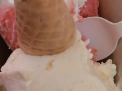 -极拉图·现制冰淇淋(梅溪湖新天地步步高店)