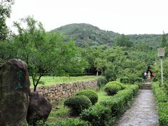 -白马涧龙池景区