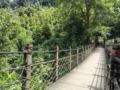 -凤栖山