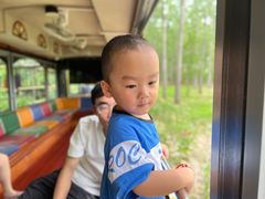 -合肥滨湖国家森林公园