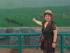 -北戴河圣蓝海洋公园