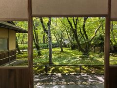 -西芳寺(苔寺)