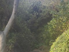 -南京市江宁方山