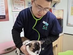 -格蕾宠物医院24H·猫科·肿瘤科·骨科中心(福州总院)