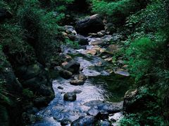 -大奇山国家森林公园