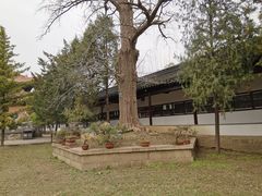 -苏州文庙(姑苏区)