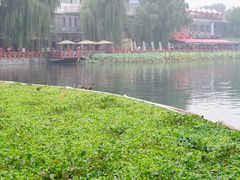 -后海公园