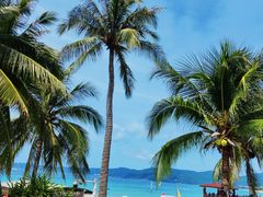 -亚龙湾海底世界