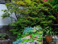 -寂照庵