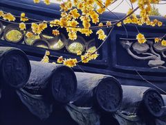 -汇龙潭
