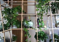 -Lily纤美·科技减脂中心