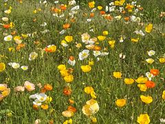 -漩门湾国家湿地公园