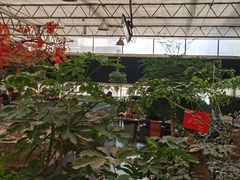 -老磨油饼(高陵店)