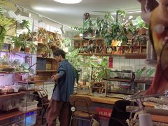 -吉丁鸟咖·异宠·寄养