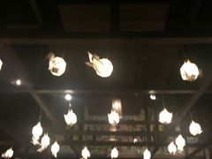 -清迈夜间动物园