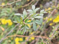 -亚龙湾中心广场