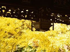 -汇龙潭