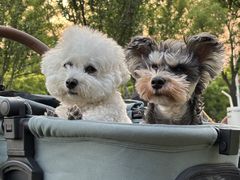 -乖乖宠物医院·猫科·骨科·24小时(云岗分院)